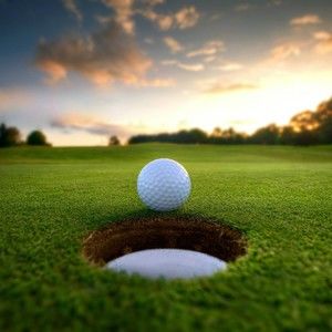 Meet your Posher, Janine